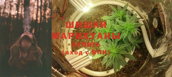 PSILOCYBIN Балабаново