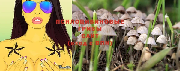 PSILOCYBIN Балабаново